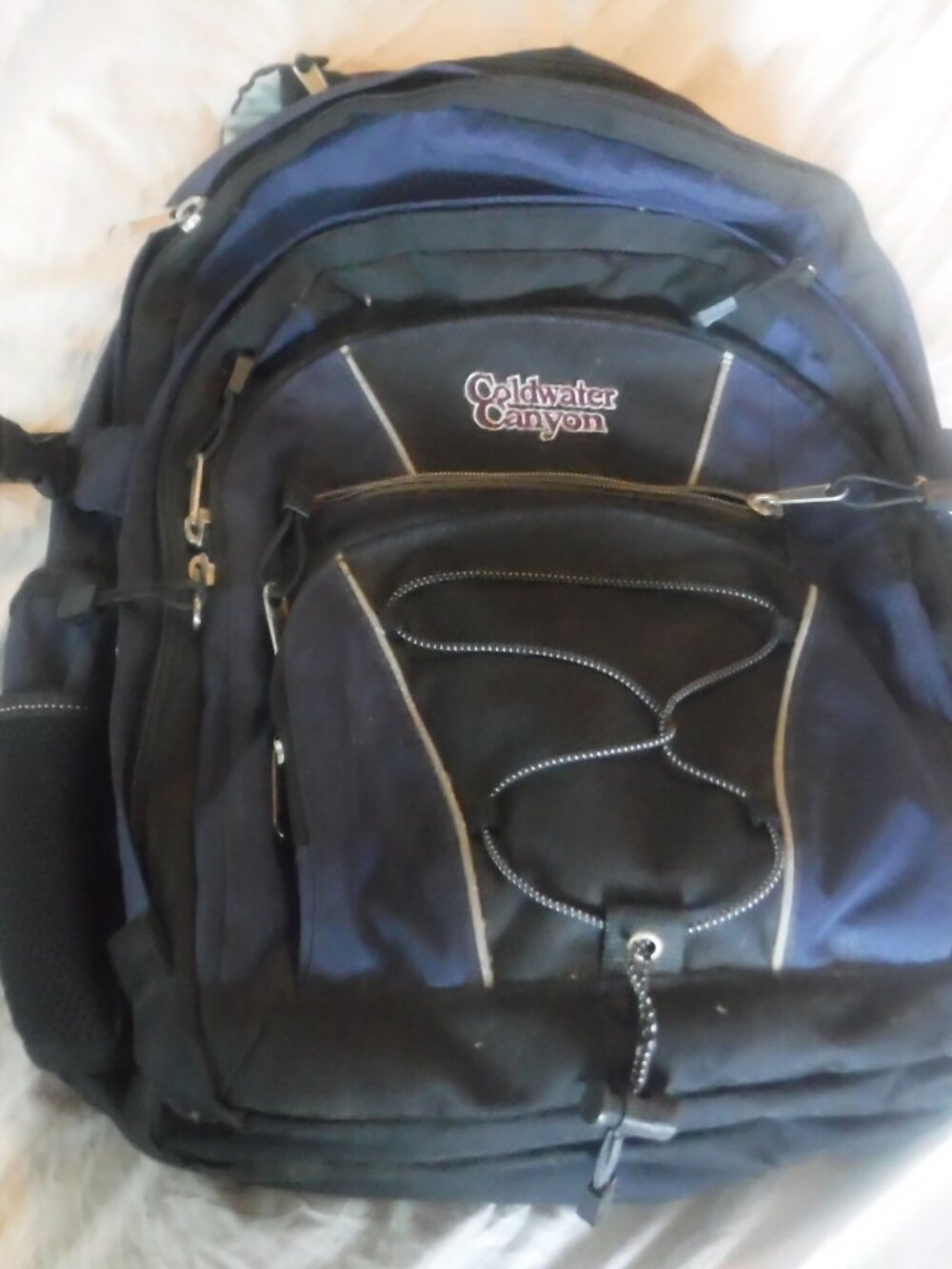 Coldwater Canyon Blue And Black Backpack